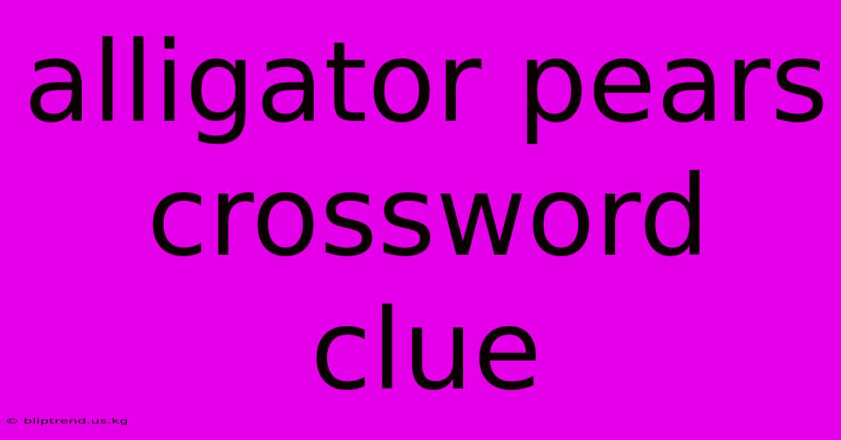 Alligator Pears Crossword Clue