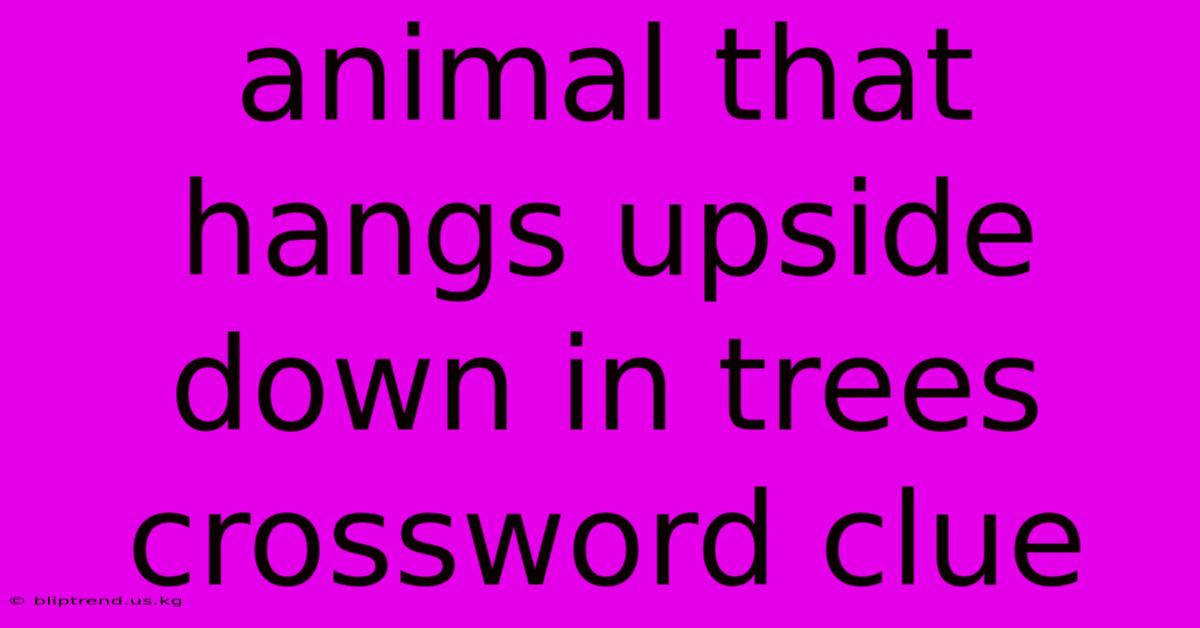 Animal That Hangs Upside Down In Trees Crossword Clue