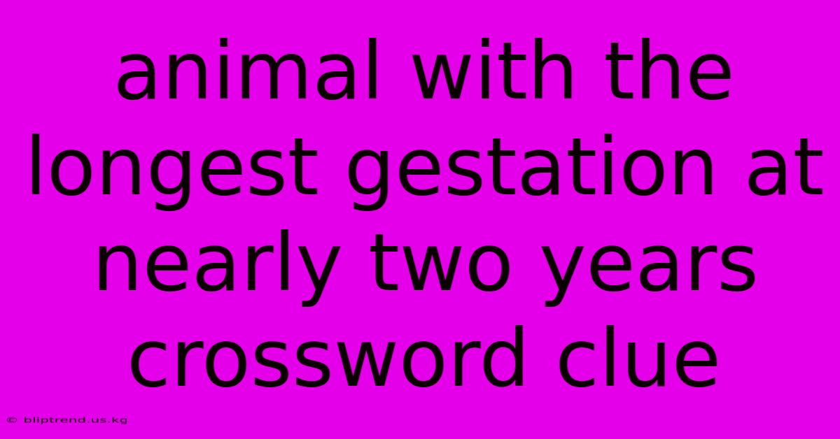 Animal With The Longest Gestation At Nearly Two Years Crossword Clue