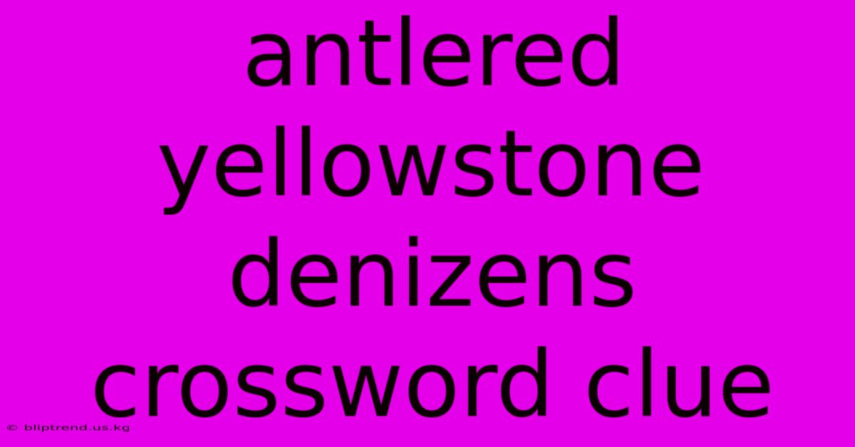 Antlered Yellowstone Denizens Crossword Clue