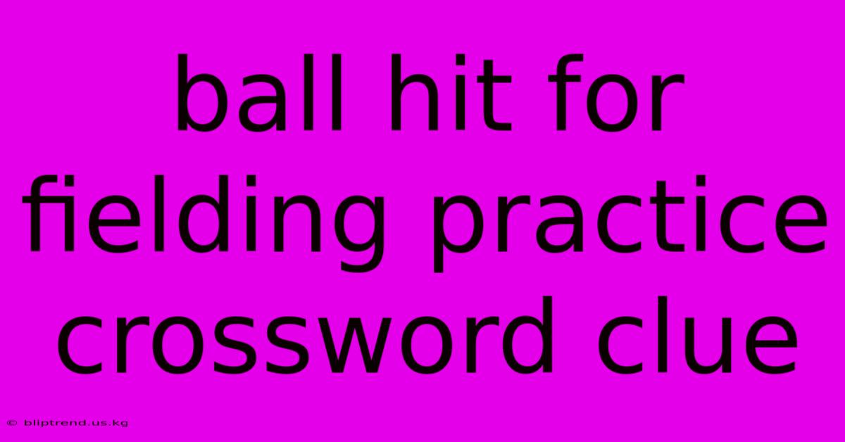 Ball Hit For Fielding Practice Crossword Clue