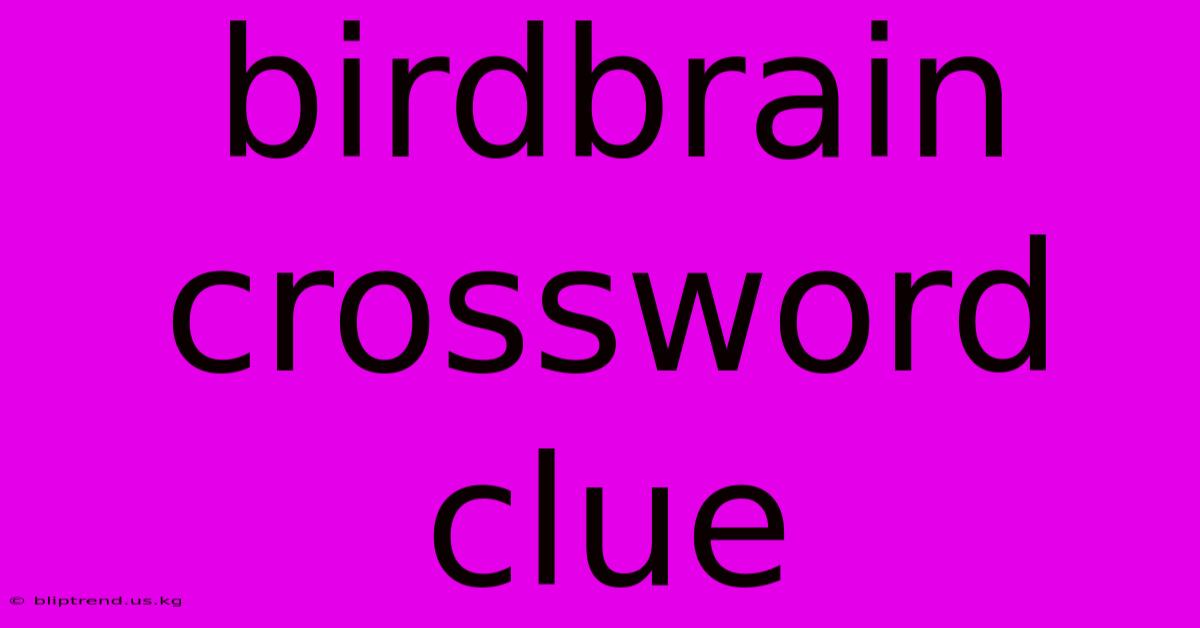 Birdbrain Crossword Clue