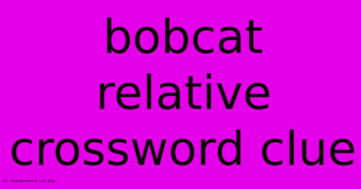 Bobcat Relative Crossword Clue