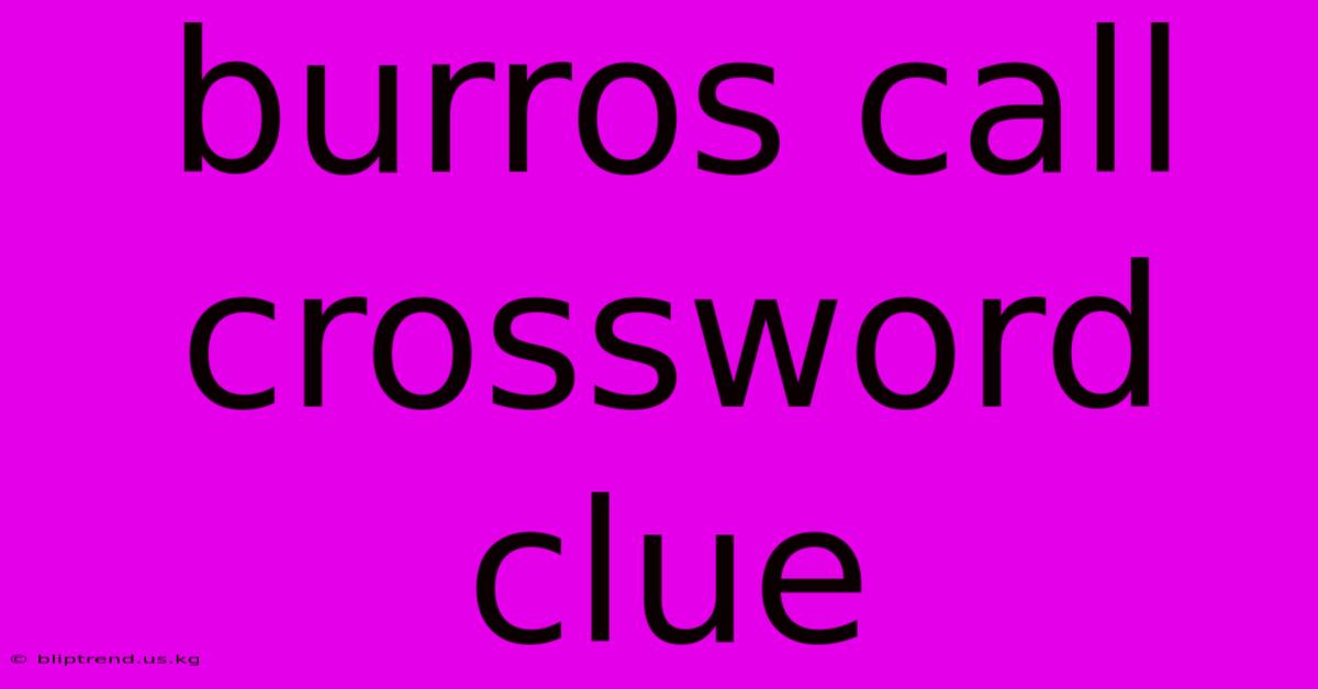 Burros Call Crossword Clue