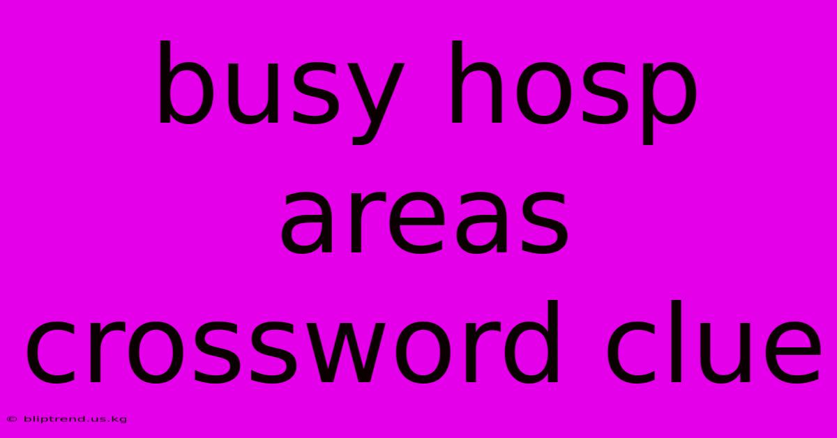 Busy Hosp Areas Crossword Clue