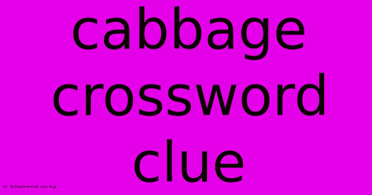 Cabbage Crossword Clue