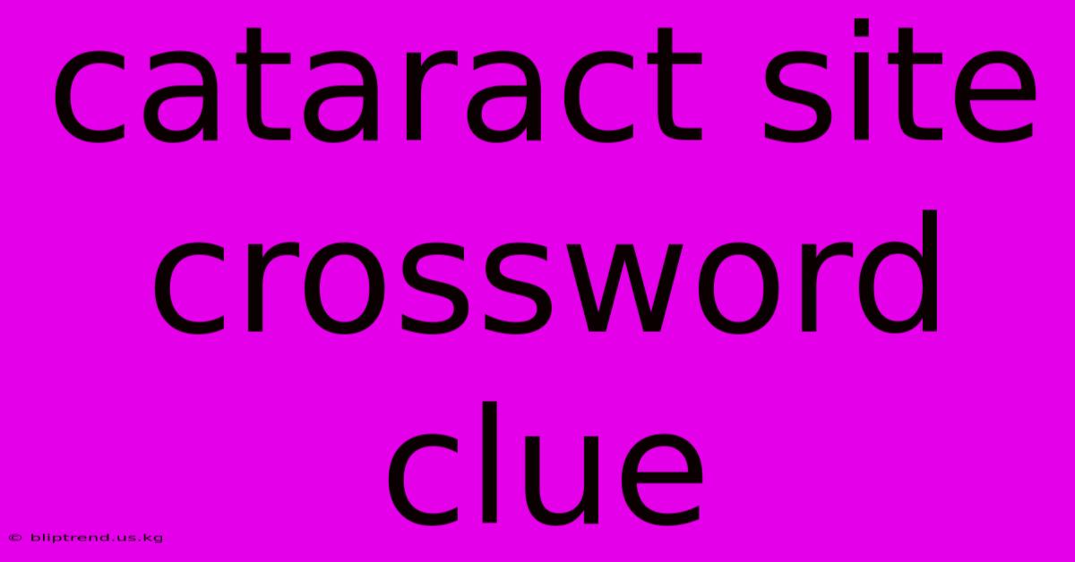 Cataract Site Crossword Clue