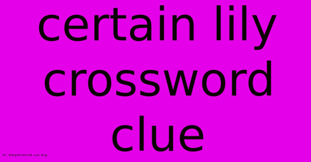 Certain Lily Crossword Clue