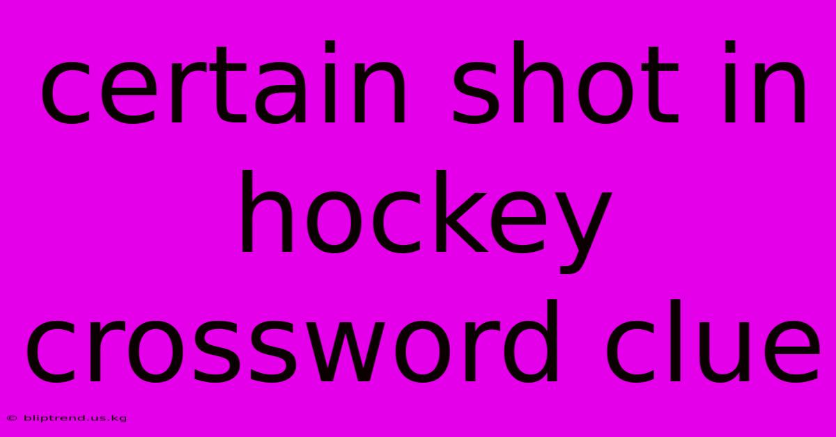 Certain Shot In Hockey Crossword Clue