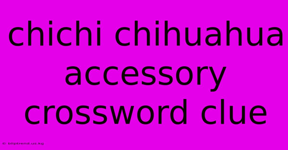 Chichi Chihuahua Accessory Crossword Clue