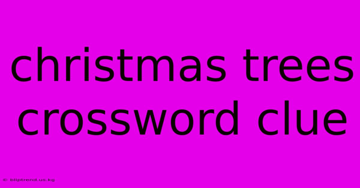 Christmas Trees Crossword Clue