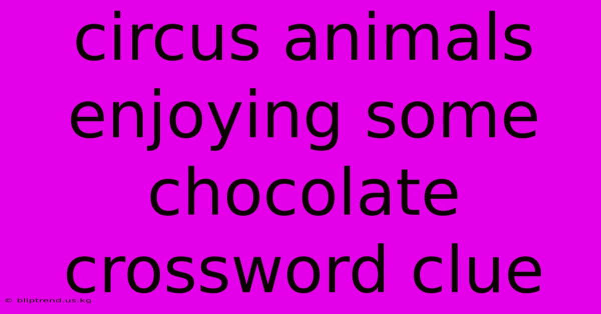 Circus Animals Enjoying Some Chocolate Crossword Clue