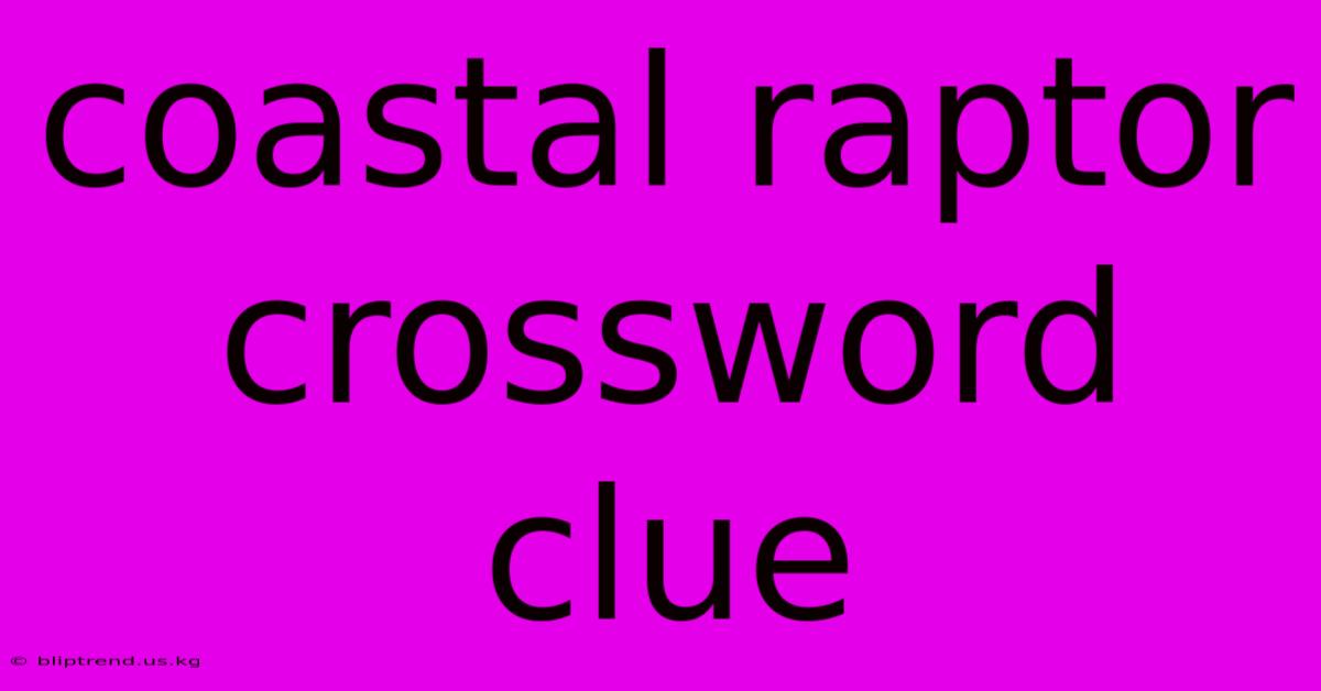 Coastal Raptor Crossword Clue