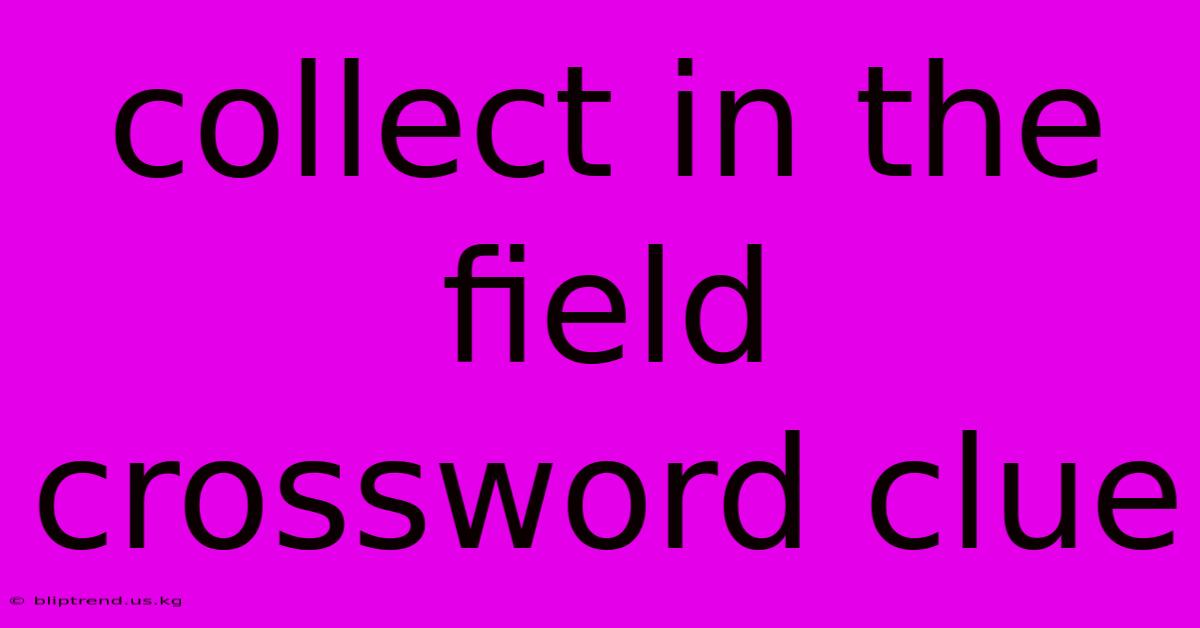 Collect In The Field Crossword Clue