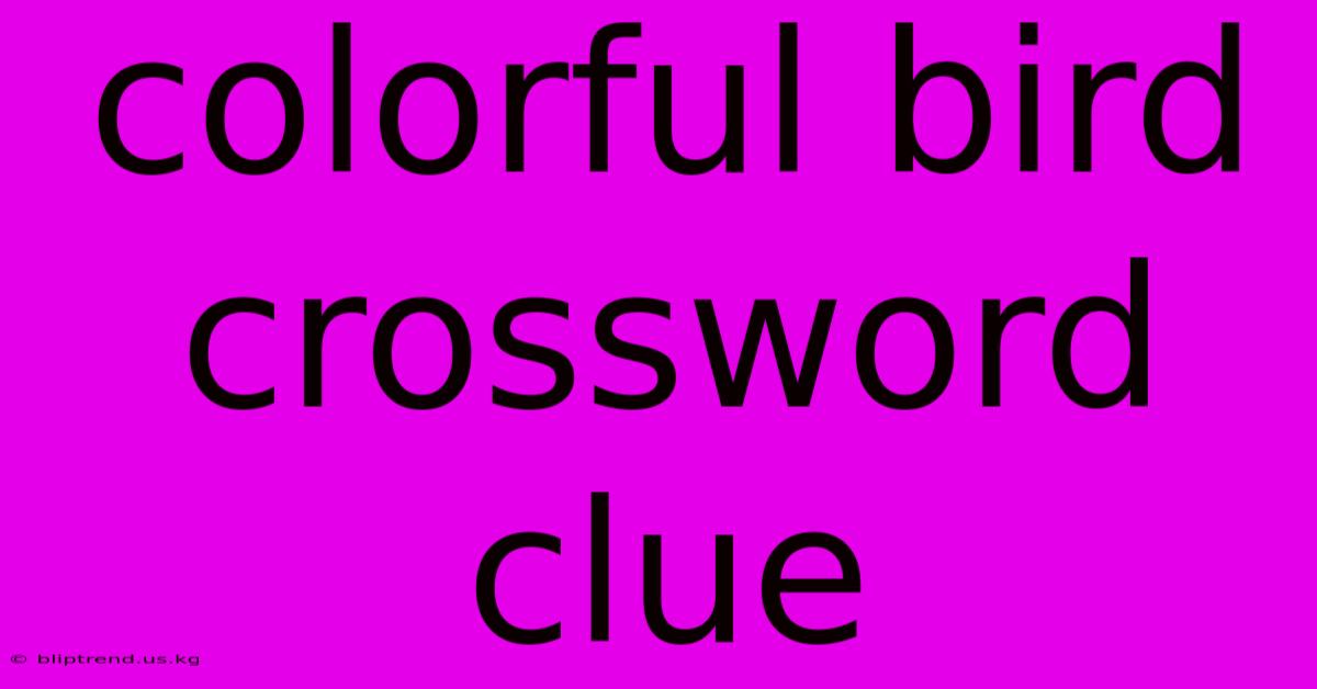 Colorful Bird Crossword Clue