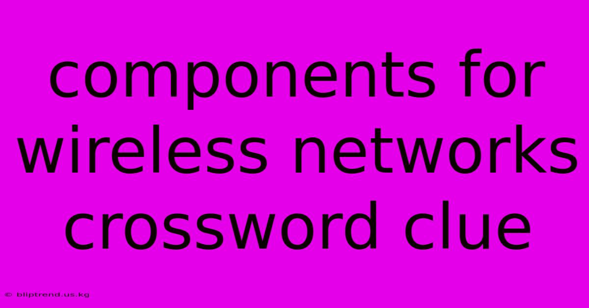 Components For Wireless Networks Crossword Clue