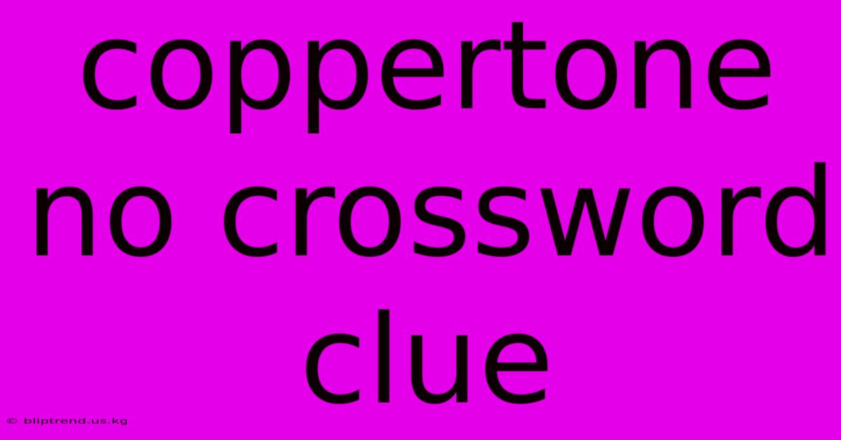 Coppertone No Crossword Clue