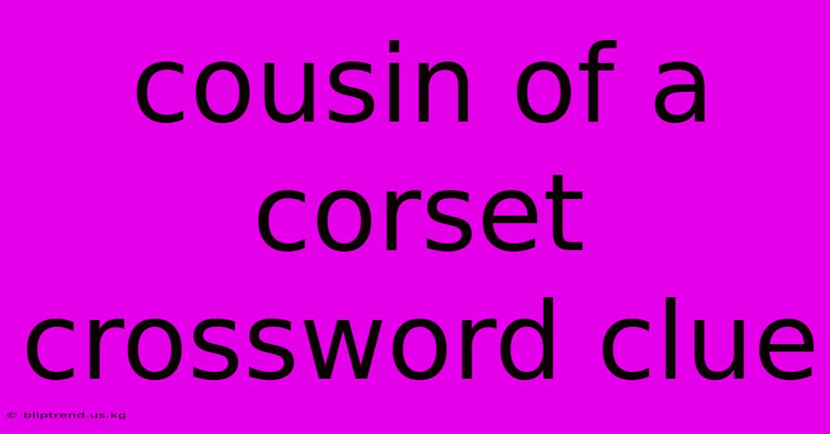 Cousin Of A Corset Crossword Clue