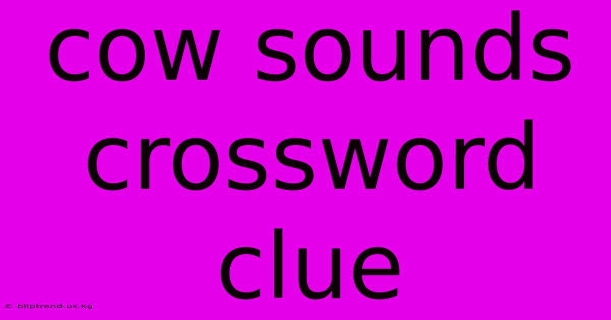 Cow Sounds Crossword Clue