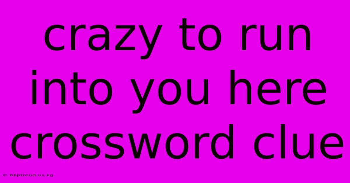 Crazy To Run Into You Here Crossword Clue