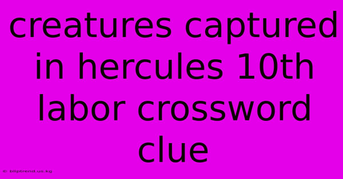 Creatures Captured In Hercules 10th Labor Crossword Clue