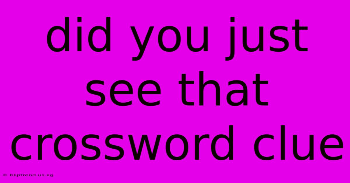 Did You Just See That Crossword Clue