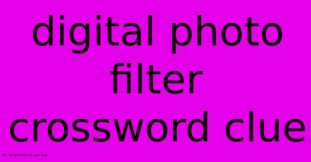 Digital Photo Filter Crossword Clue