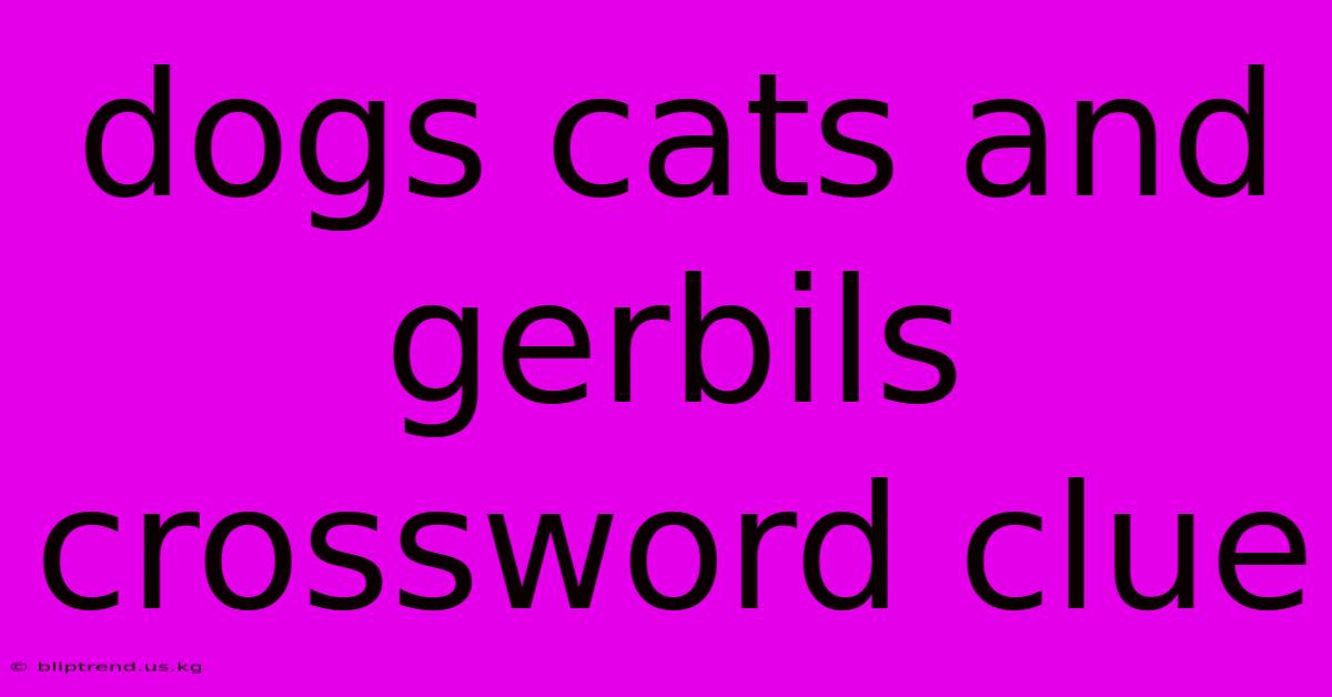 Dogs Cats And Gerbils Crossword Clue