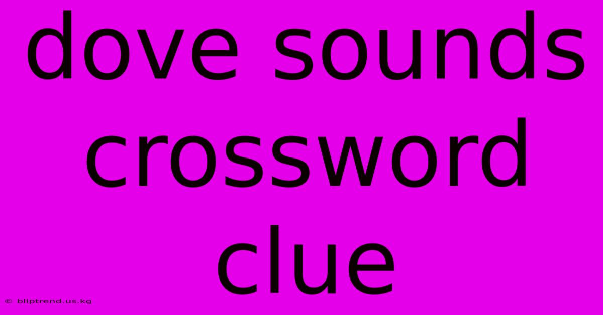 Dove Sounds Crossword Clue