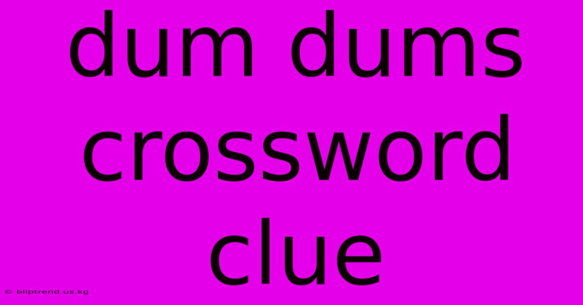 Dum Dums Crossword Clue