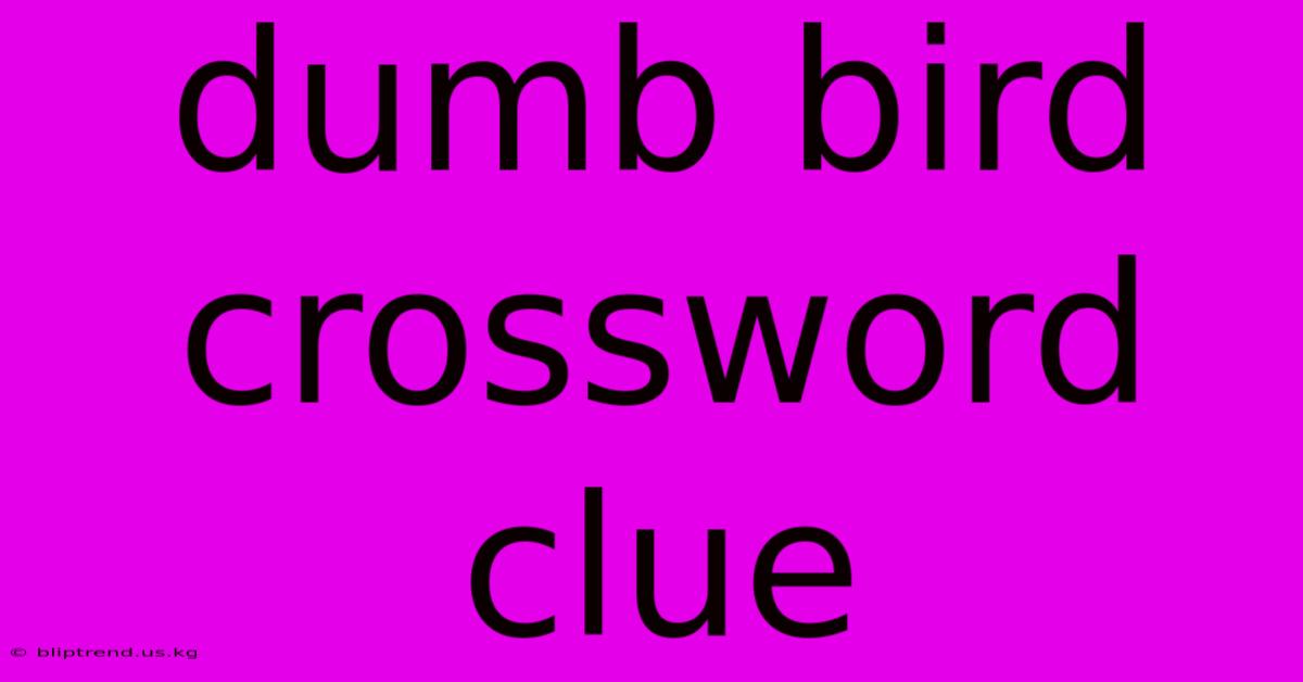 Dumb Bird Crossword Clue