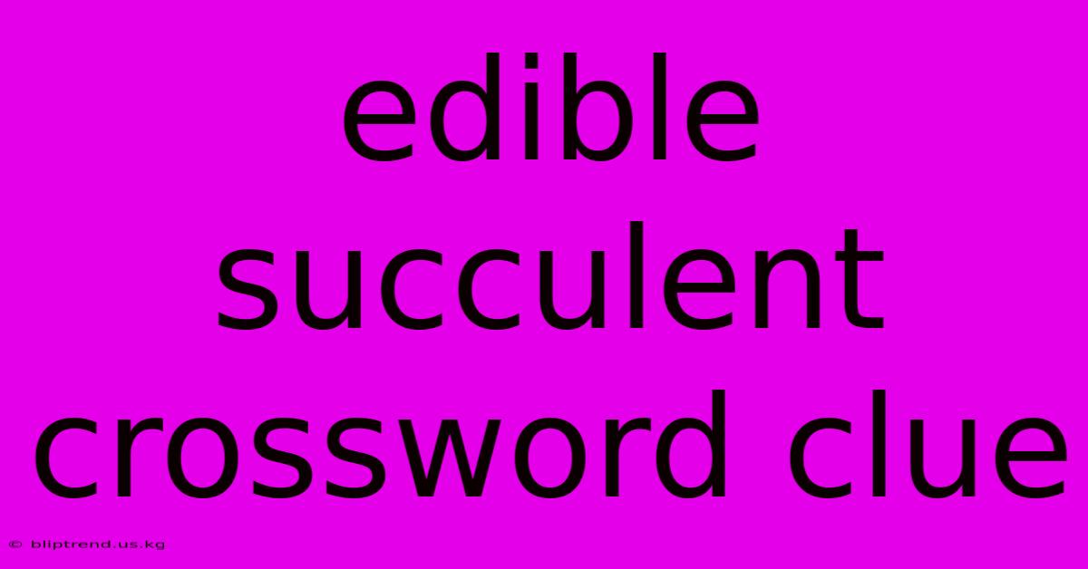 Edible Succulent Crossword Clue