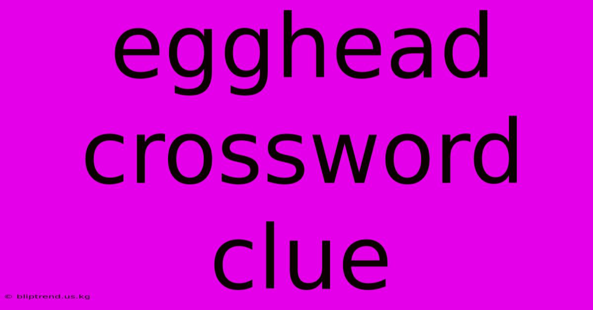 Egghead Crossword Clue