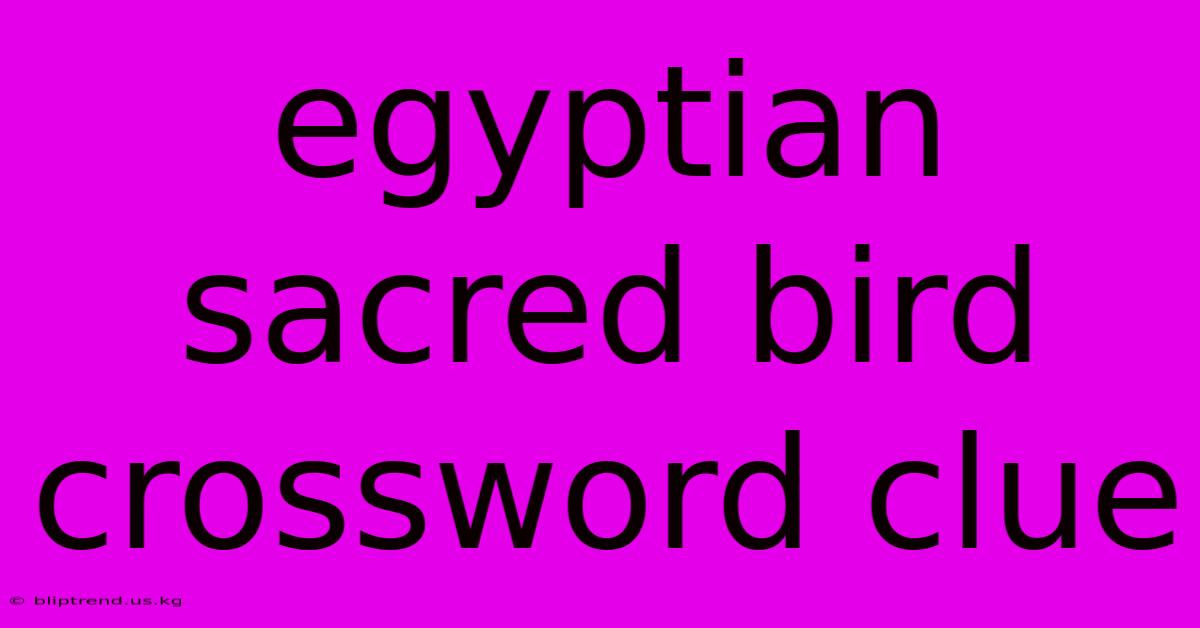 Egyptian Sacred Bird Crossword Clue