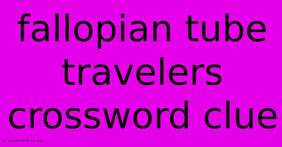 Fallopian Tube Travelers Crossword Clue