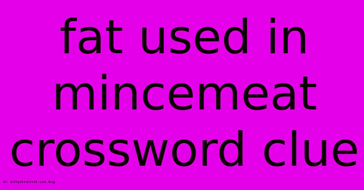 Fat Used In Mincemeat Crossword Clue