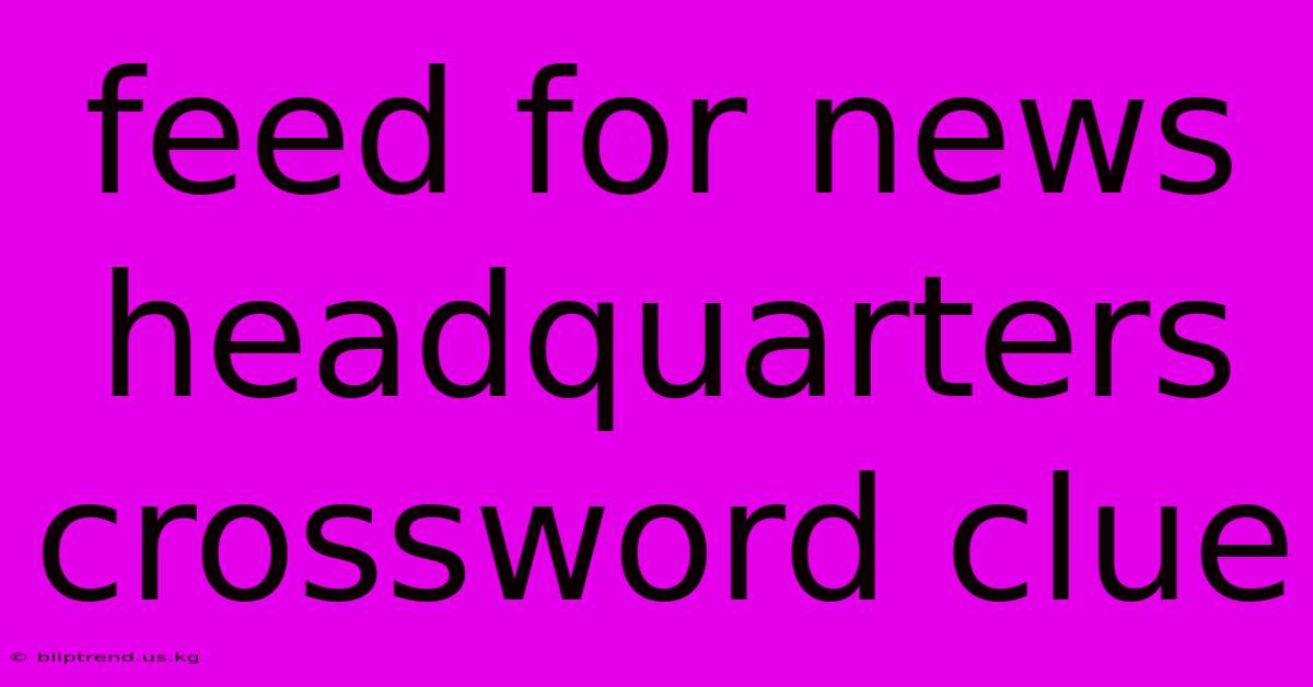 Feed For News Headquarters Crossword Clue