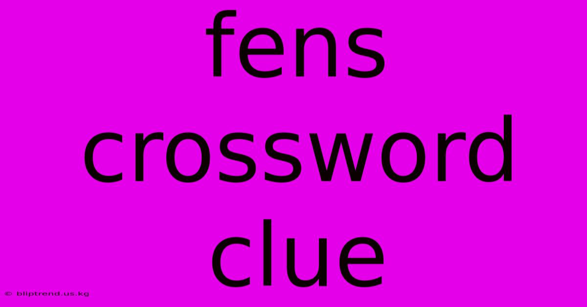 Fens Crossword Clue