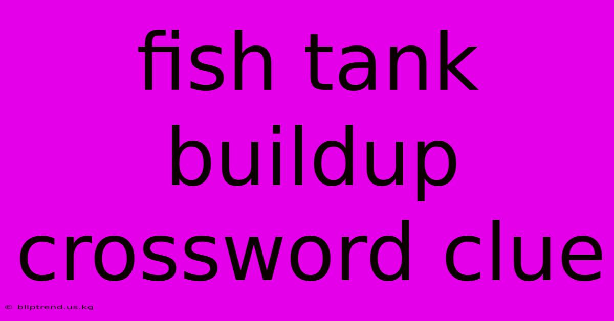 Fish Tank Buildup Crossword Clue