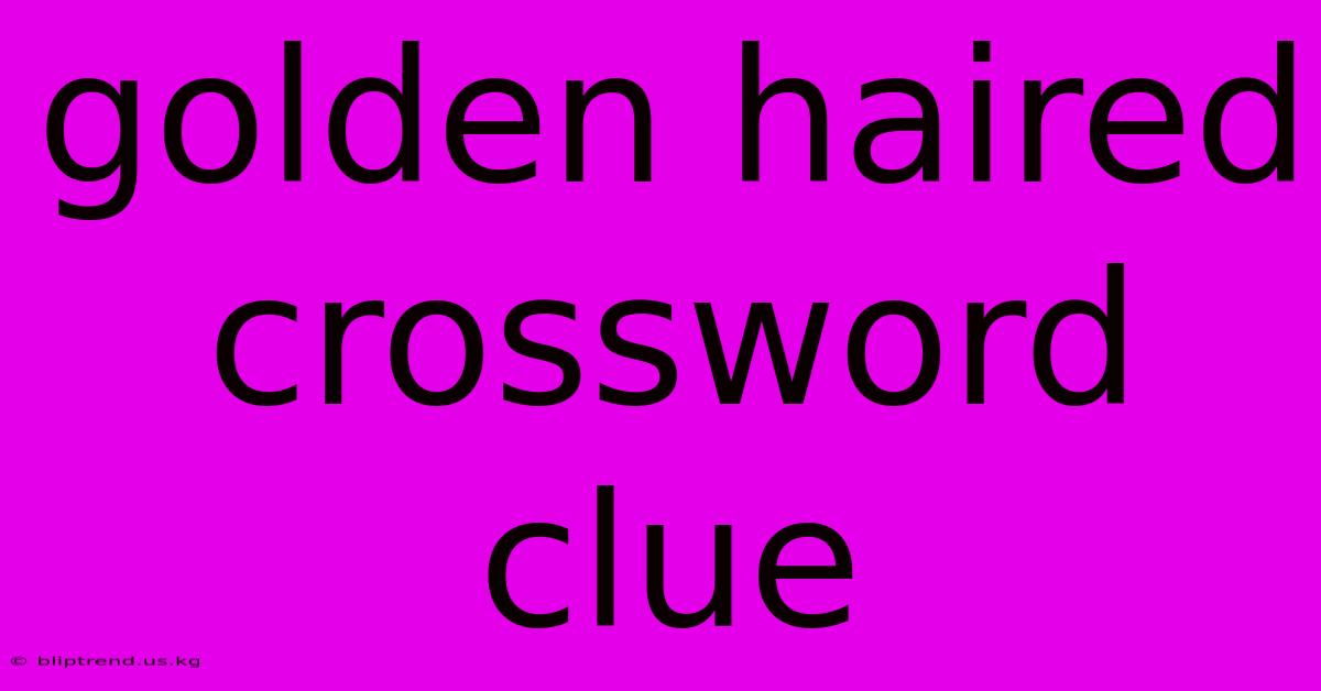 Golden Haired Crossword Clue