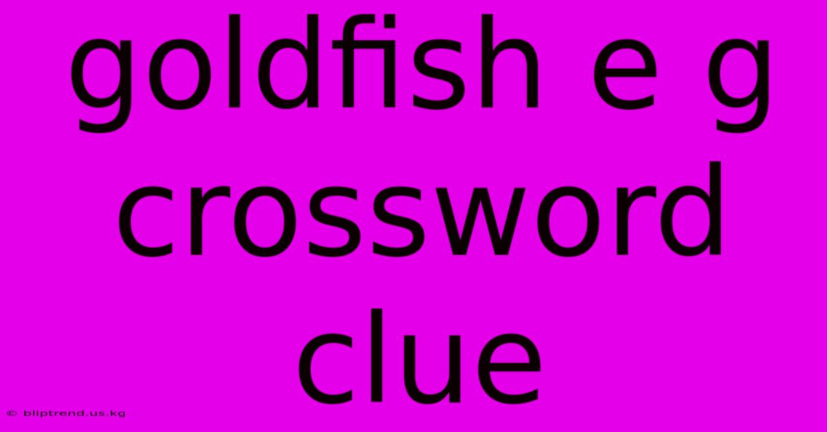 Goldfish E G Crossword Clue