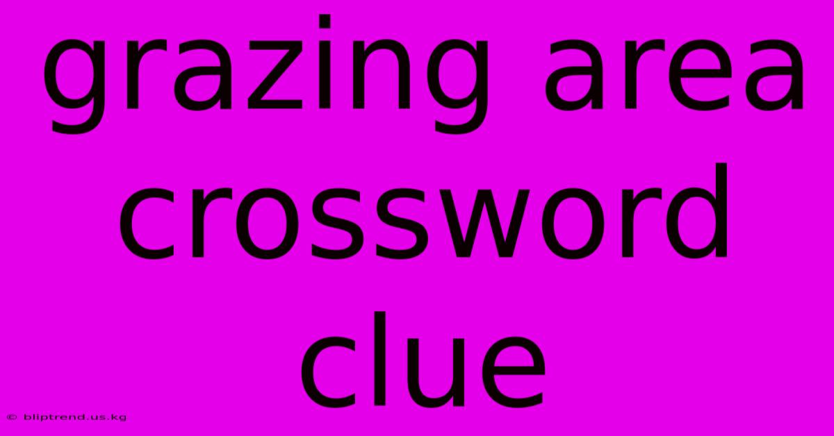 Grazing Area Crossword Clue