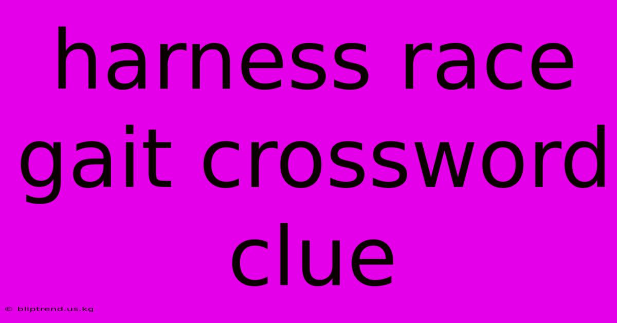 Harness Race Gait Crossword Clue