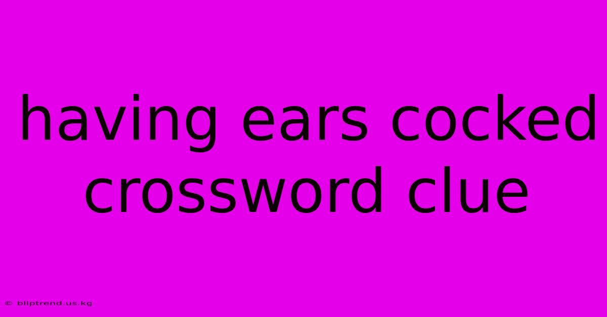 Having Ears Cocked Crossword Clue