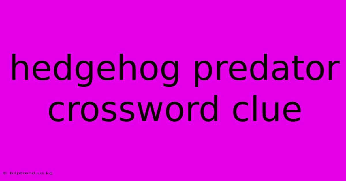 Hedgehog Predator Crossword Clue