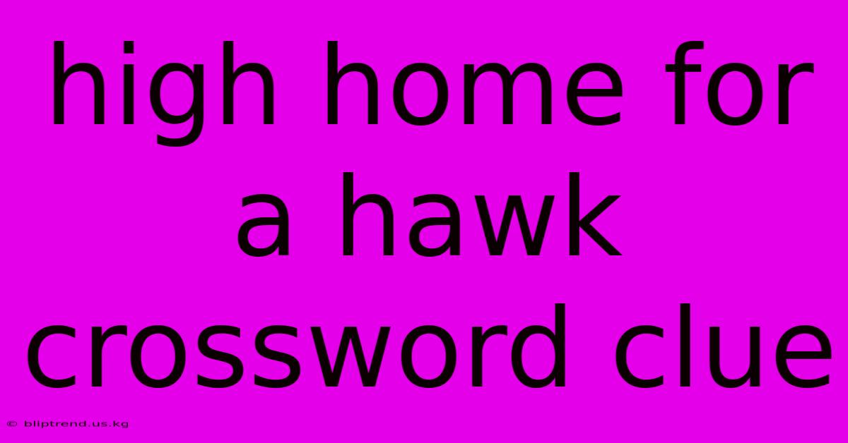 High Home For A Hawk Crossword Clue