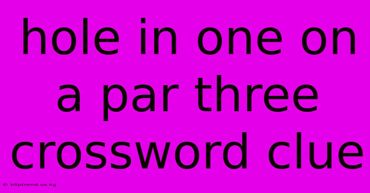 Hole In One On A Par Three Crossword Clue