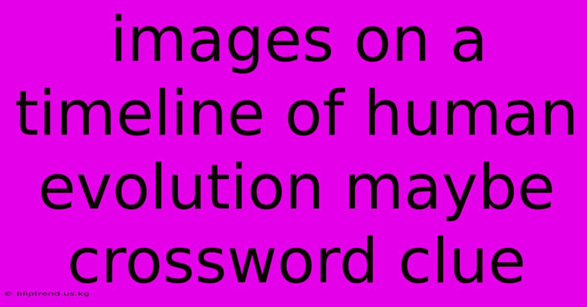 Images On A Timeline Of Human Evolution Maybe Crossword Clue