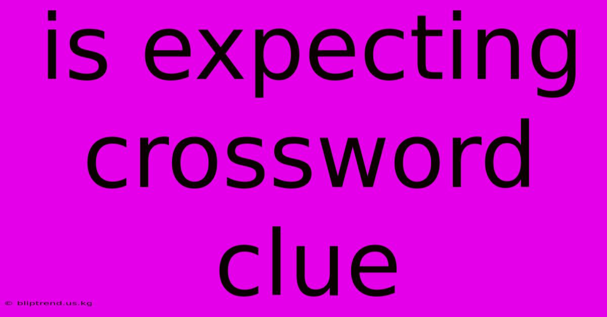 Is Expecting Crossword Clue