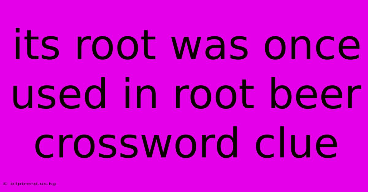 Its Root Was Once Used In Root Beer Crossword Clue